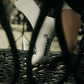 Victory Stance Crew Bamboo Socks